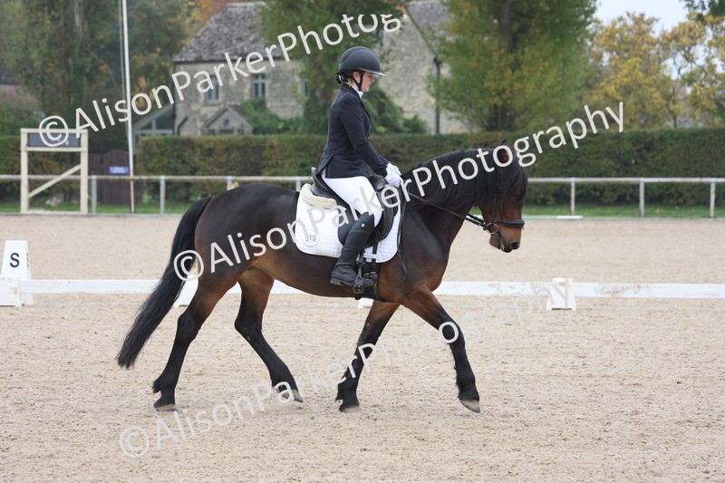 20251012-0513 - Class 4 - Novice 6