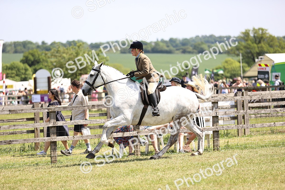 SBM_15116 - Class 79-80 - LIHS BSHA Rising Star Ridden Hunter
