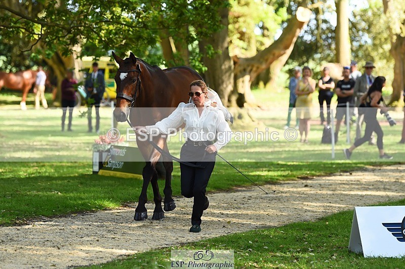 230524-164416-01056 - 132-OGUE_VERDI-Kitty_King-WEDTrotUp+DR