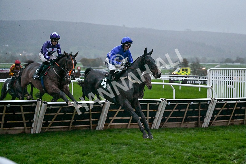 141125-Race 6-Shade Of Winter-1488 - Race 6