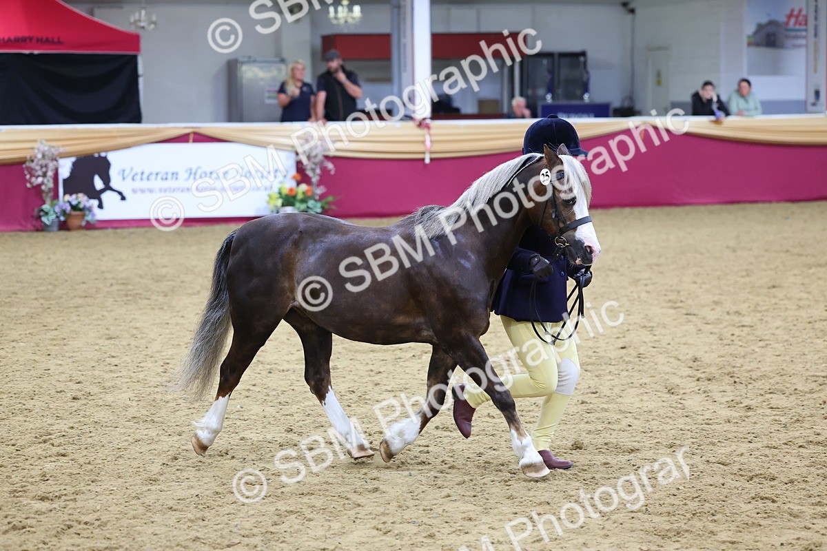 SBM_19472 - Class 901 - Supreme Final - IH Diamond