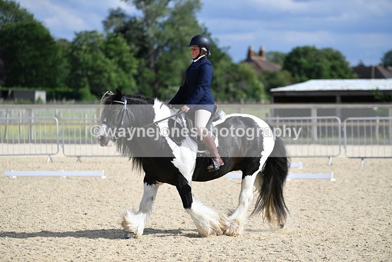 WJ5_7777 - Time 16:40 to 16:55