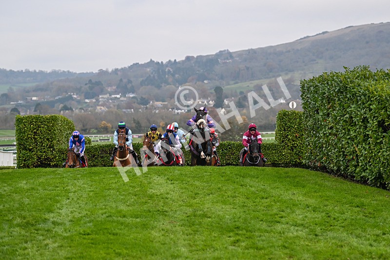 151124-Race 4-Tommie Beau-8130 - Race 4