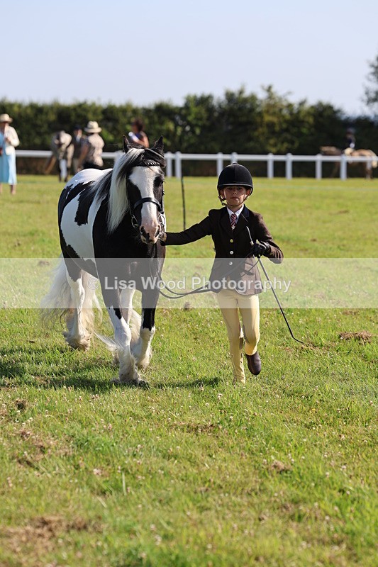 IMG_1583 - Class 30: Ridden Native/Trad Coloured Pony