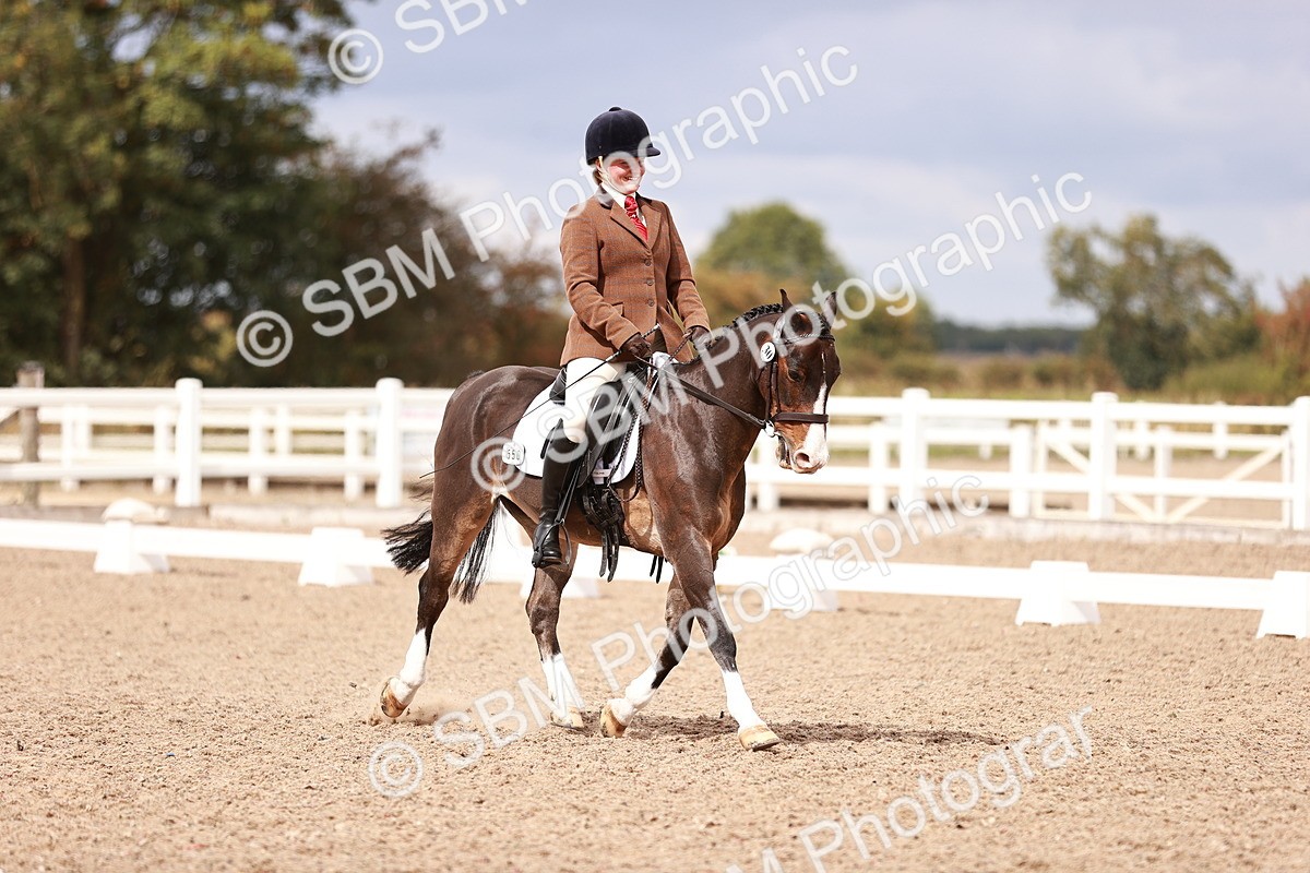 SBM_06221 - Class 37 - Novice 5