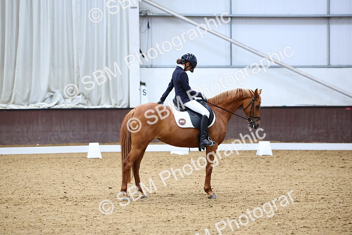 SBM_004000 - Novice 2