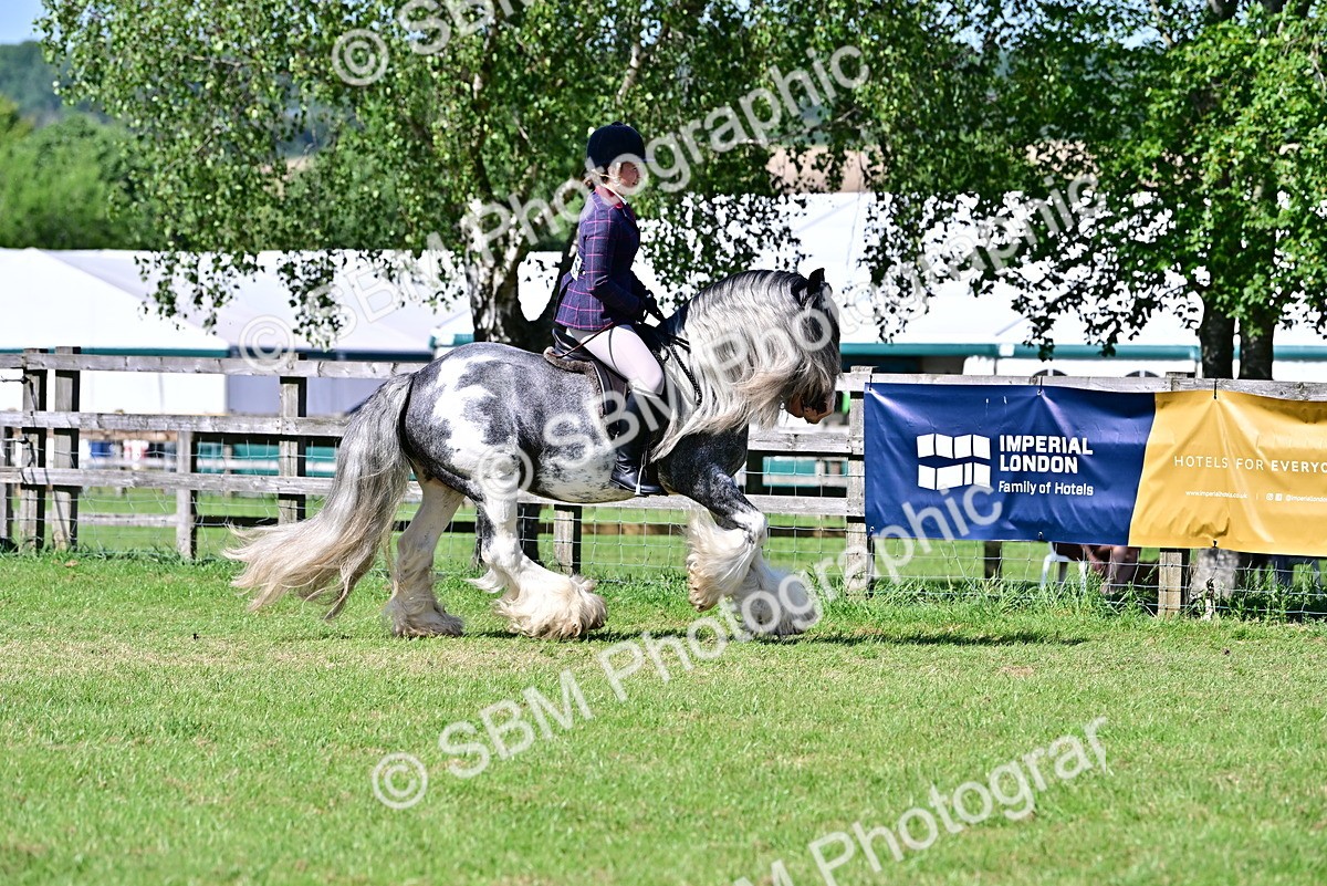 SBM_19356 - Class 101-102 - BSPS LIHS Performance Coloured Horse/Pony