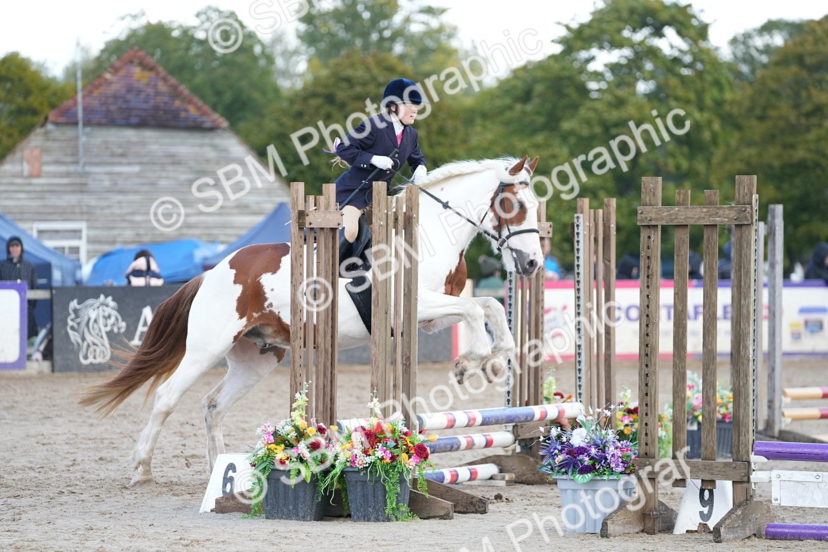 SBM_21213 - J49 - Open 50cm