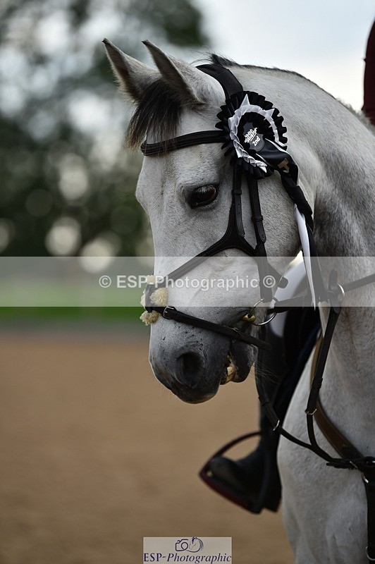 230902A-163836-02118 - Cls 4B Pony Big 1.05m