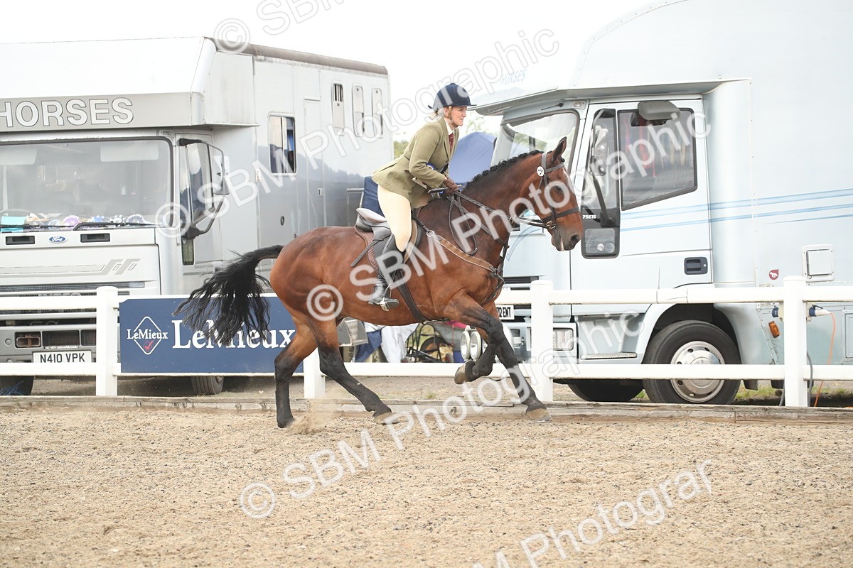 SBM_17956 - Class 508b - Working Veteran 70cm (20+)