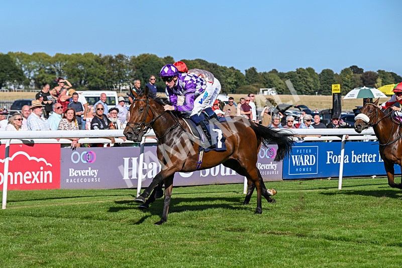 220926-Race 3-Call Me Tomorrow-3629 - Race 3 2.40pm Christmas Parties R Us Restricted Novice Stakes