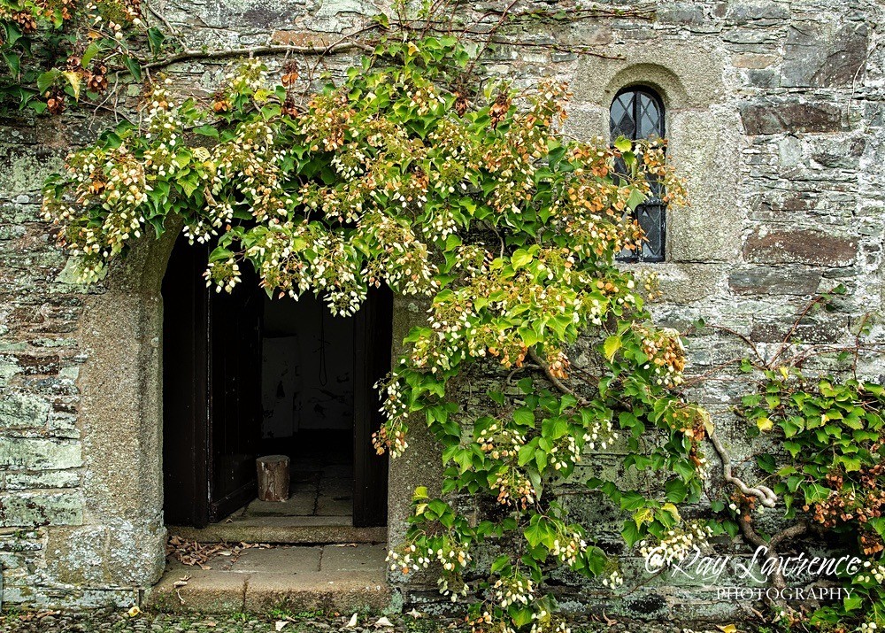 Natural Arch Cotehele-RLP35082 - Close to Home