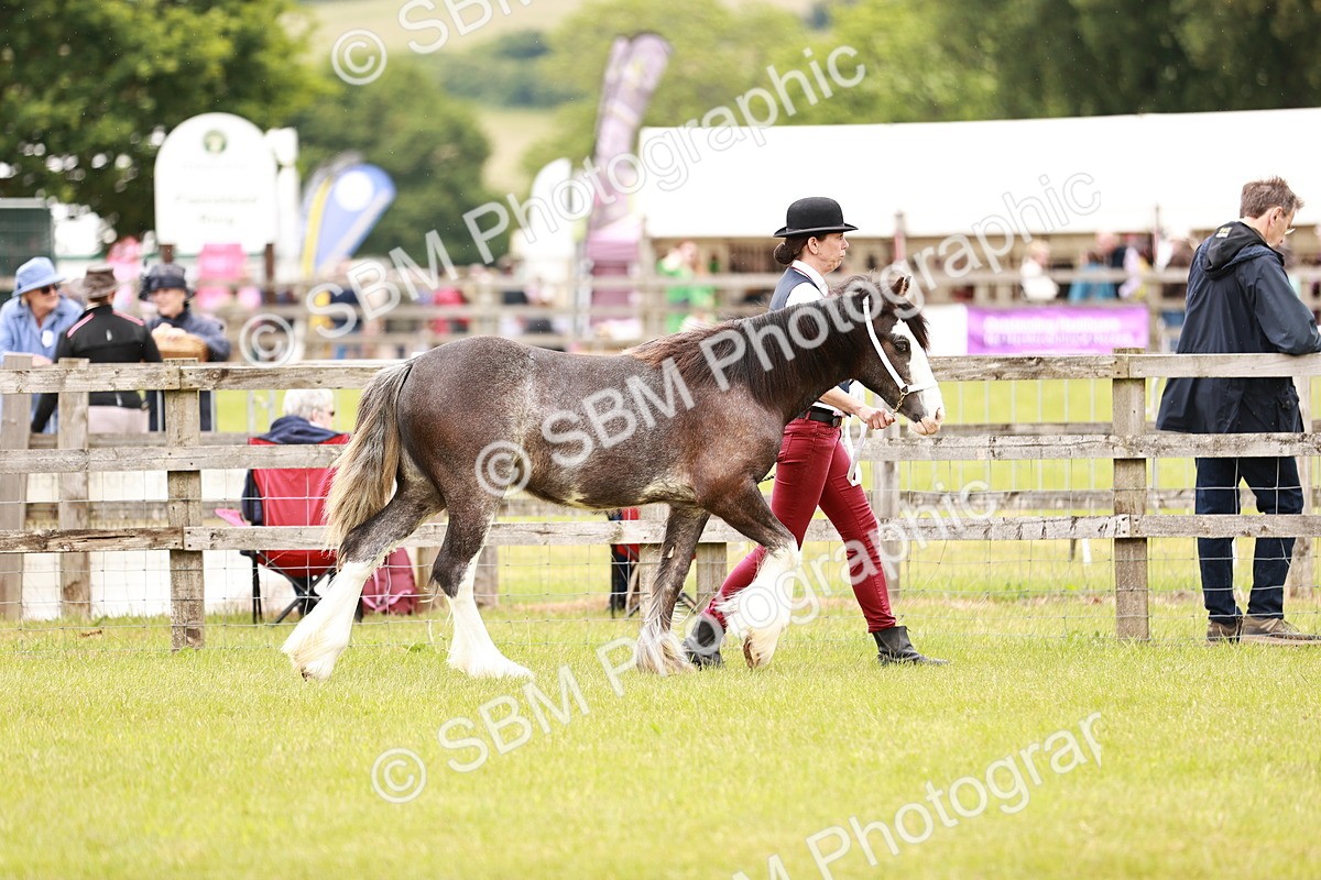 SBM_04544 - Class 5-8 - BSPA In hand