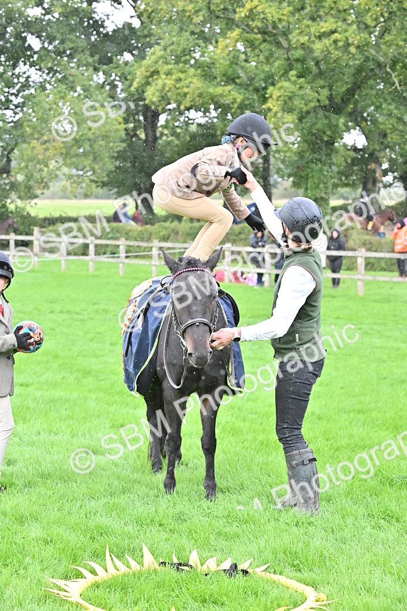 SBM_42995 - S12 - Family Horse & Pony