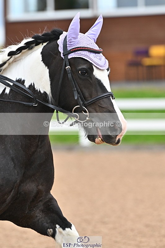 240723A-160153-00059 - 50cm and 60cm