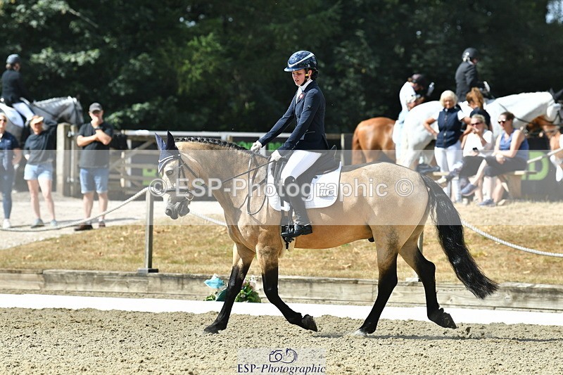 260801A-105439-03264 - Premin Silver Start - 11.35