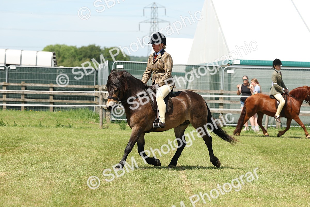 SBM_06834 - Class 26-30 - Mountain and Moorland Ridden