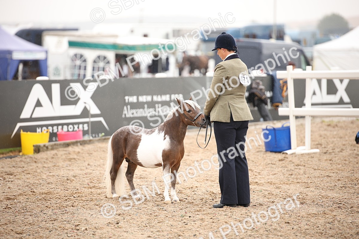 SBM_19290 - Class 701 - Best Turned Out IH & Ridden