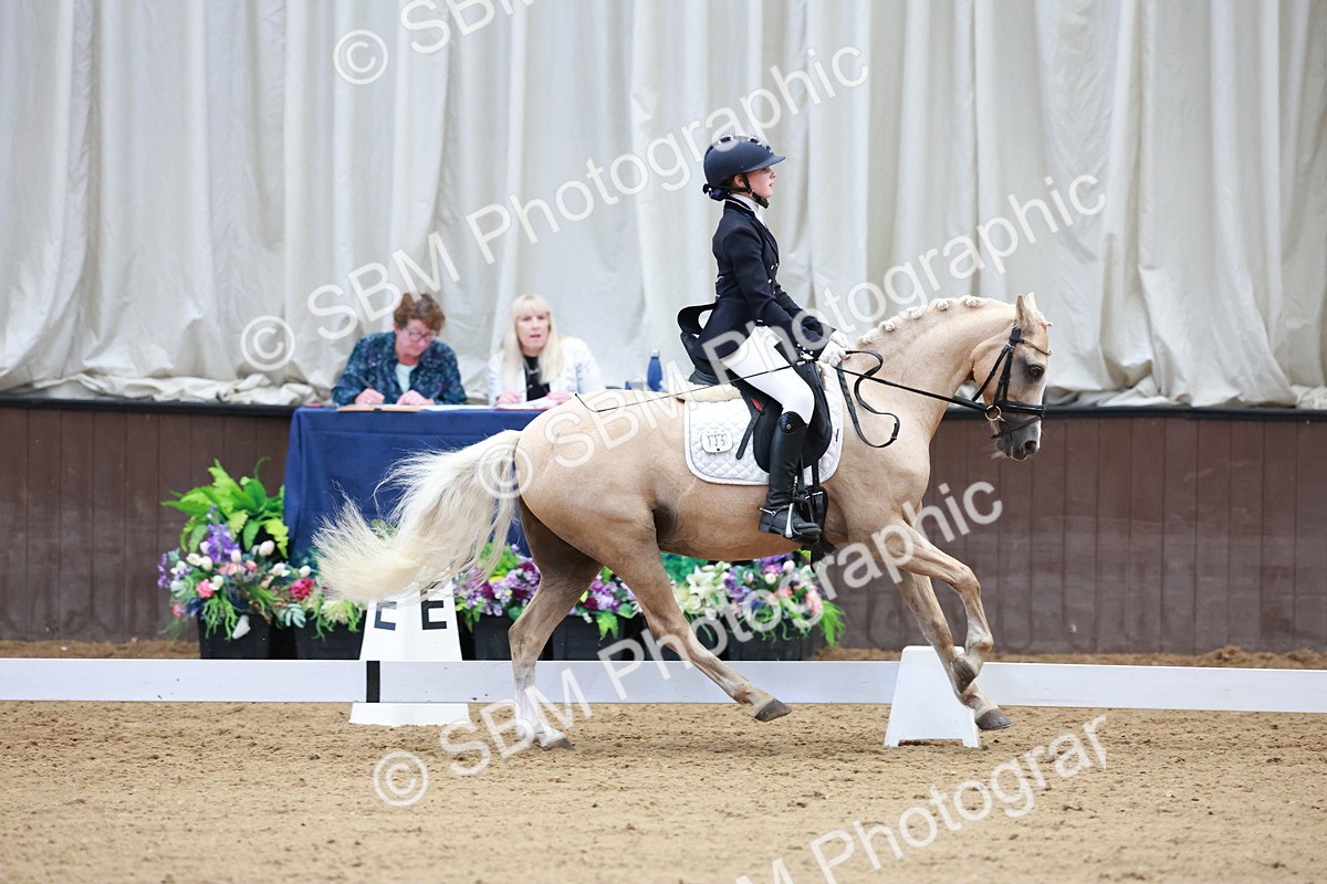 SBM_017394 - Class15 - FEI Pony