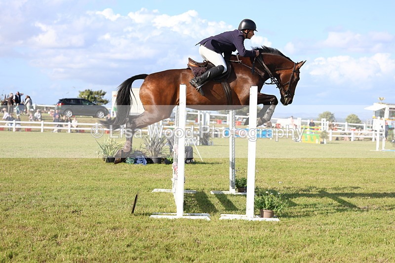 3E7A4416 - Class C: Showjumping Senior Foxhunter