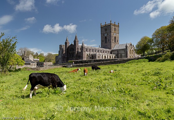 p161 - Pembrokeshire p/c catalogue