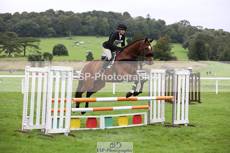 230805-113655-00896 - SJ 11 to 11.55