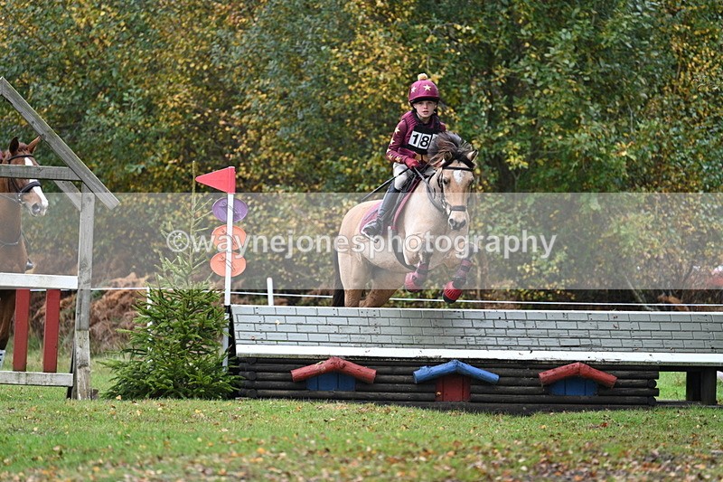 WJ7_2278 - 80cm Cam 2 Pairs Time 12:18 to 12:43