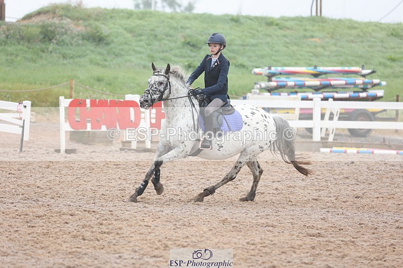 240630A-100033-11693 - Cls 30 British Novice and 80cm Open