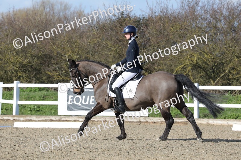 20260314-5141 - CT6 - Elementary 1