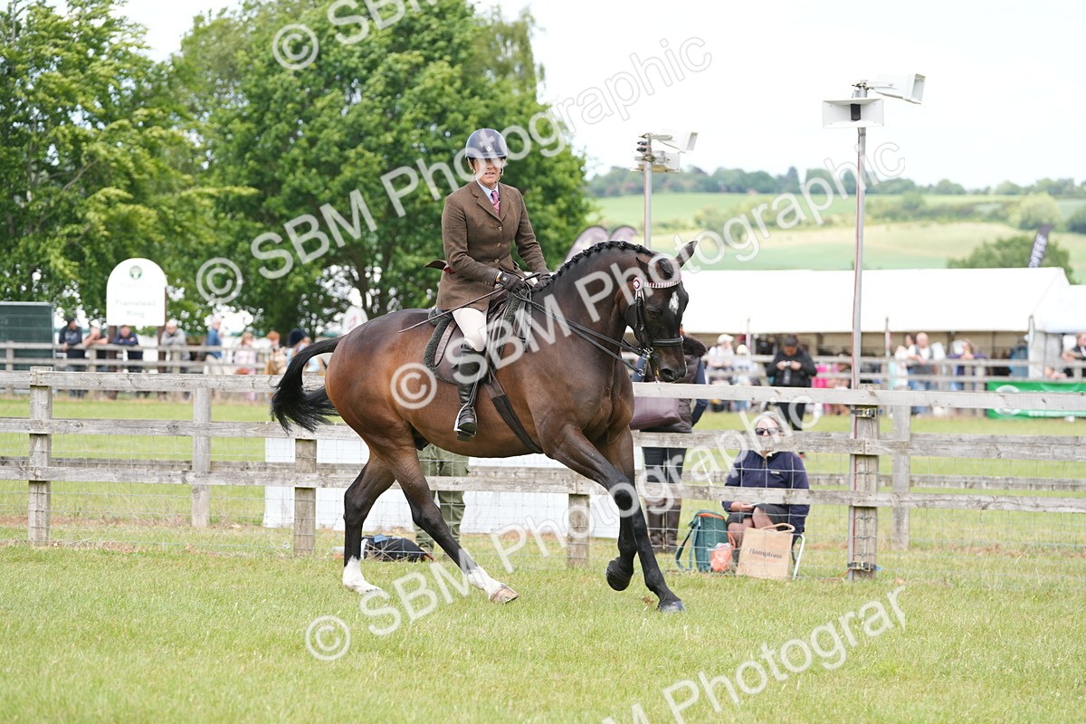 SBM_16246 - Class 105-106 - RIHS Riding Horses
