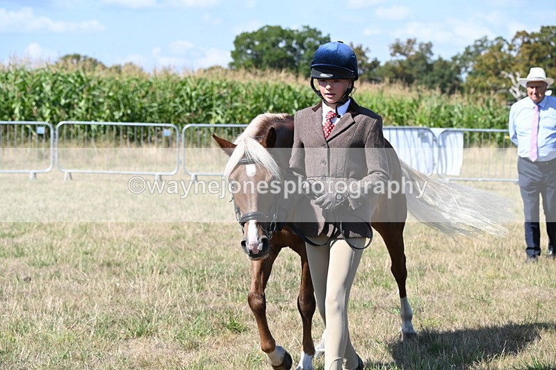 WJ6_4758 - Class 17 Mountain & Moorland