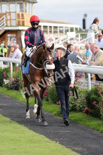 yr23072021r1-13 - Race 1 6.00pm John Wright Electrical Silk Series Lady Riders Handicap