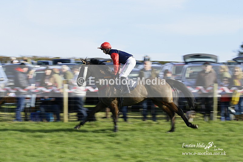 PtP 300122 197 - South Dorset Hunt - Point-to-Point Races 30/01/2022