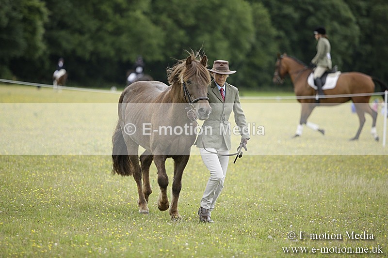 BVR160717-711 - Ring 2 BVRC Show 16/07/17