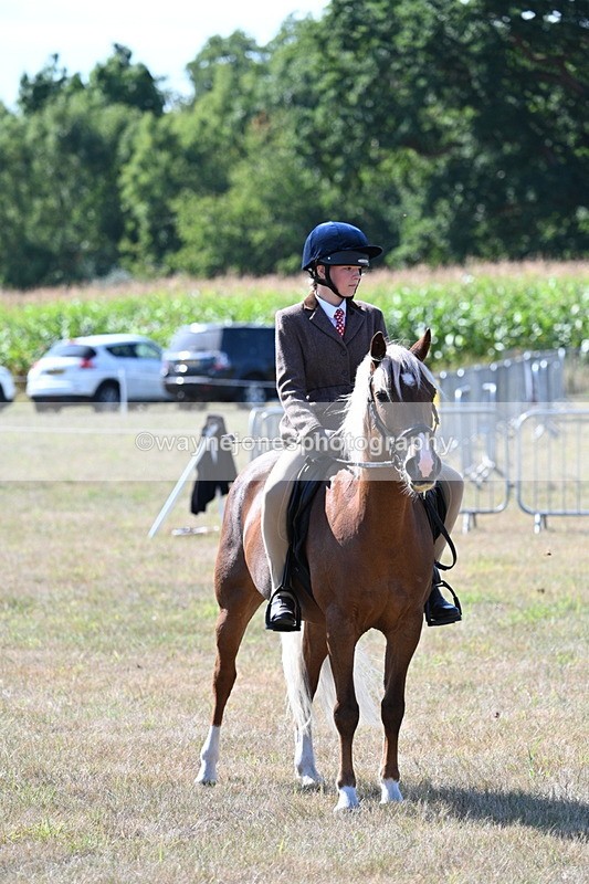 WJ7_3586 - Class 9 Mountain & Moorland Ridden