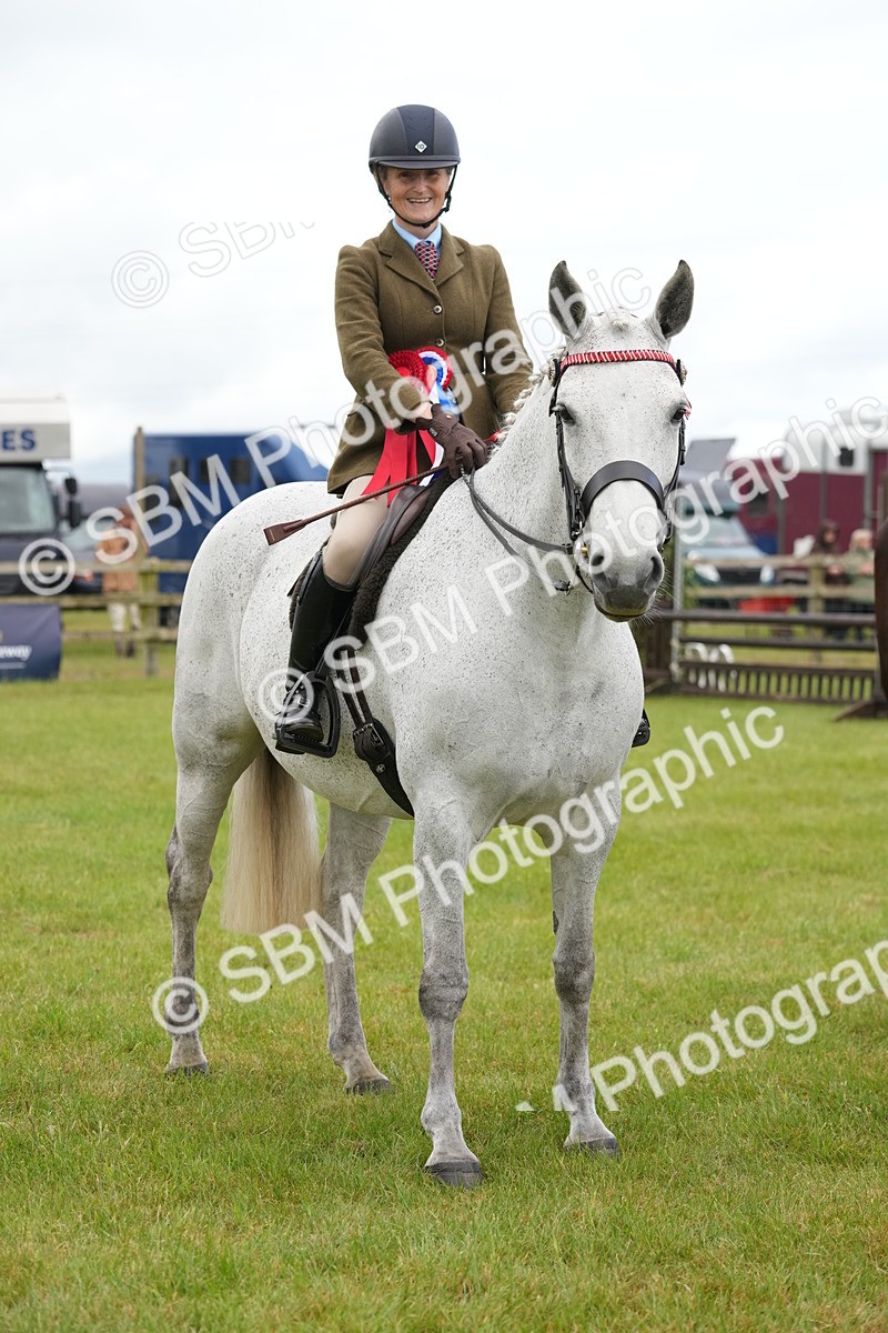 SBM_12862 - Class 97-98 - LIHS BSHA Rising Star Working Show Horse Hunter