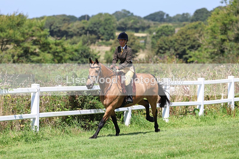 3E7A9000 - Class 6: Open Working Horse