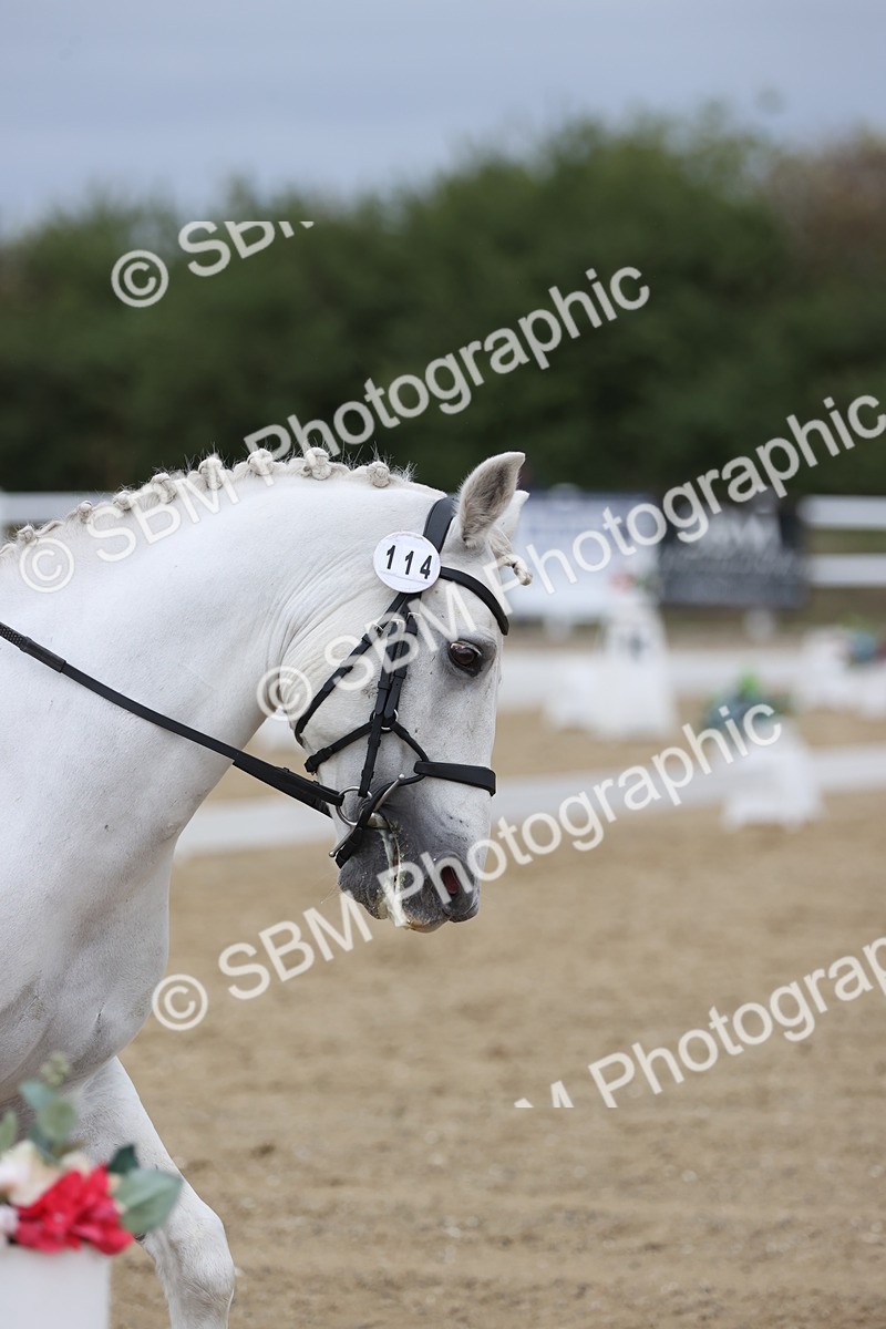 SBM_004266 - Class 9 - Novice 3 Champs