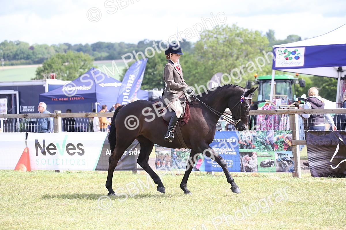 SBM_13184 - Class 95-96 - LIHS BSHA Rising Star Hack Riding Horse