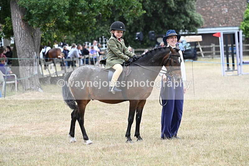 WJ7_0446 - Class 6 Ridden Mountain and Moorland