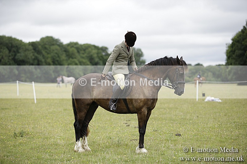 BVR160717-1325 - Ring 1 BVRC Show 16/07/17