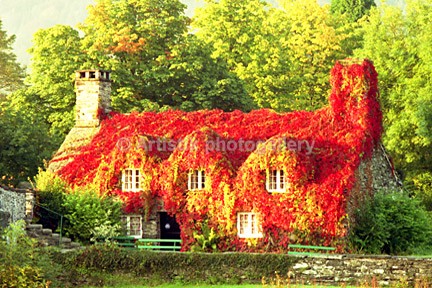 Tu Hwnt Ir Bont C97-10-7 - Sceniks.com - Snowdonia landscape photographs by Dave O'Shea