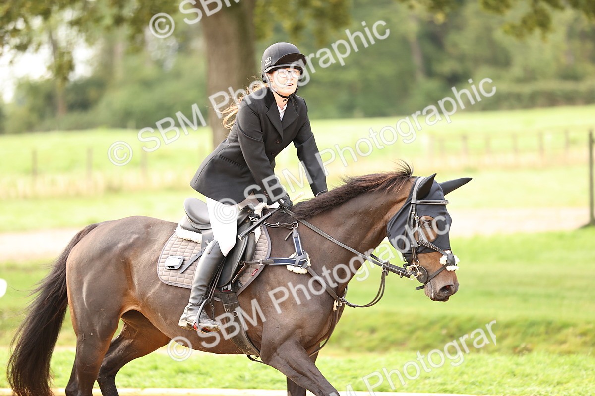 SBM_58463 - J41 - Grand Tour Horse & Pony 95cm