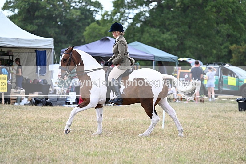 WJ7_5195 - Class 12 Ridden Cob