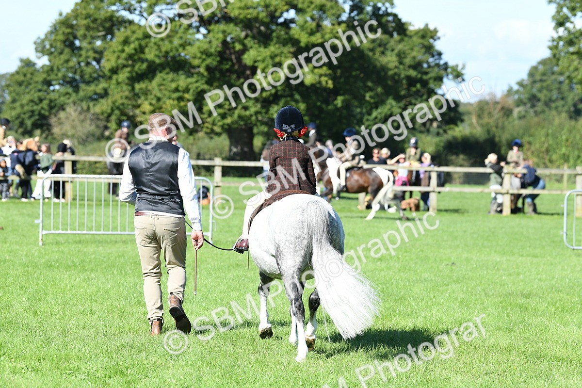 SBM_39604 - S18 - Novice & Newcomers Lead Rein Pony