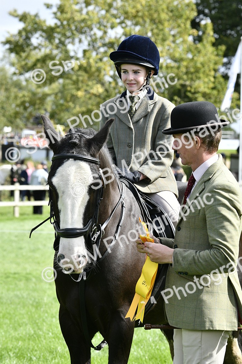 SBM_41639 - S32 - Mountain & Moorland Working Hunter Pony
