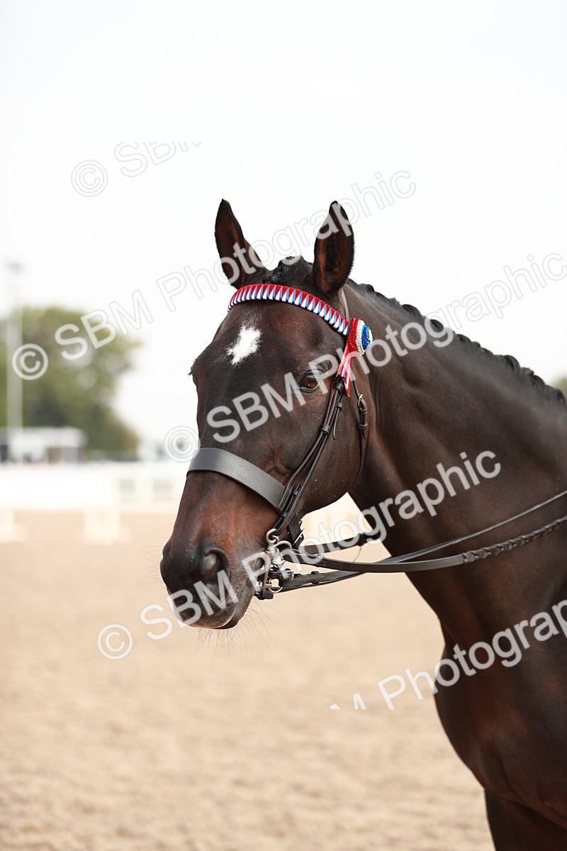 SBM_09441 - Class 202 Best Turned Out Ridden