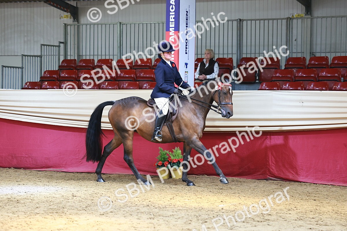 SBM_23917 - Class 905 - Supreme Final - Ridden Veteran