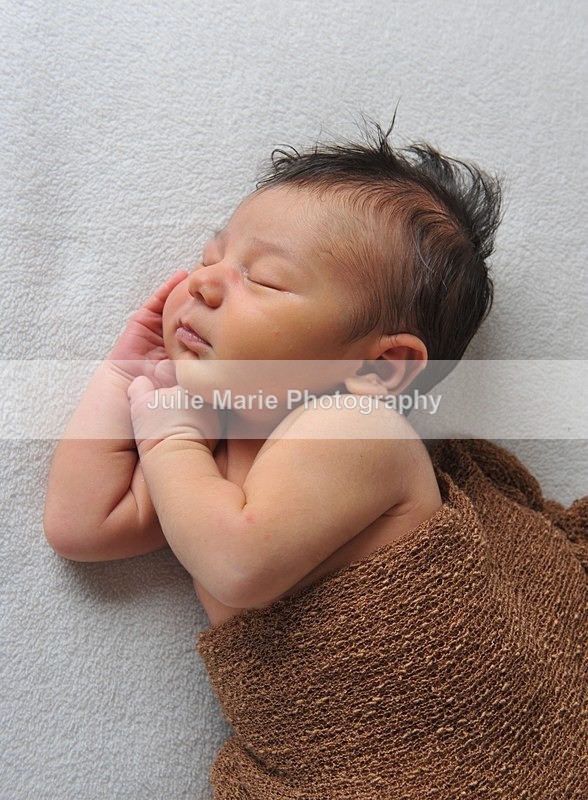 DSC_4904 - Sadie