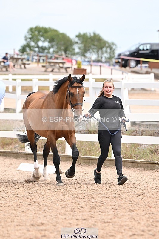 250716-154310-02155 - Trot Up 3.30 to 4.30